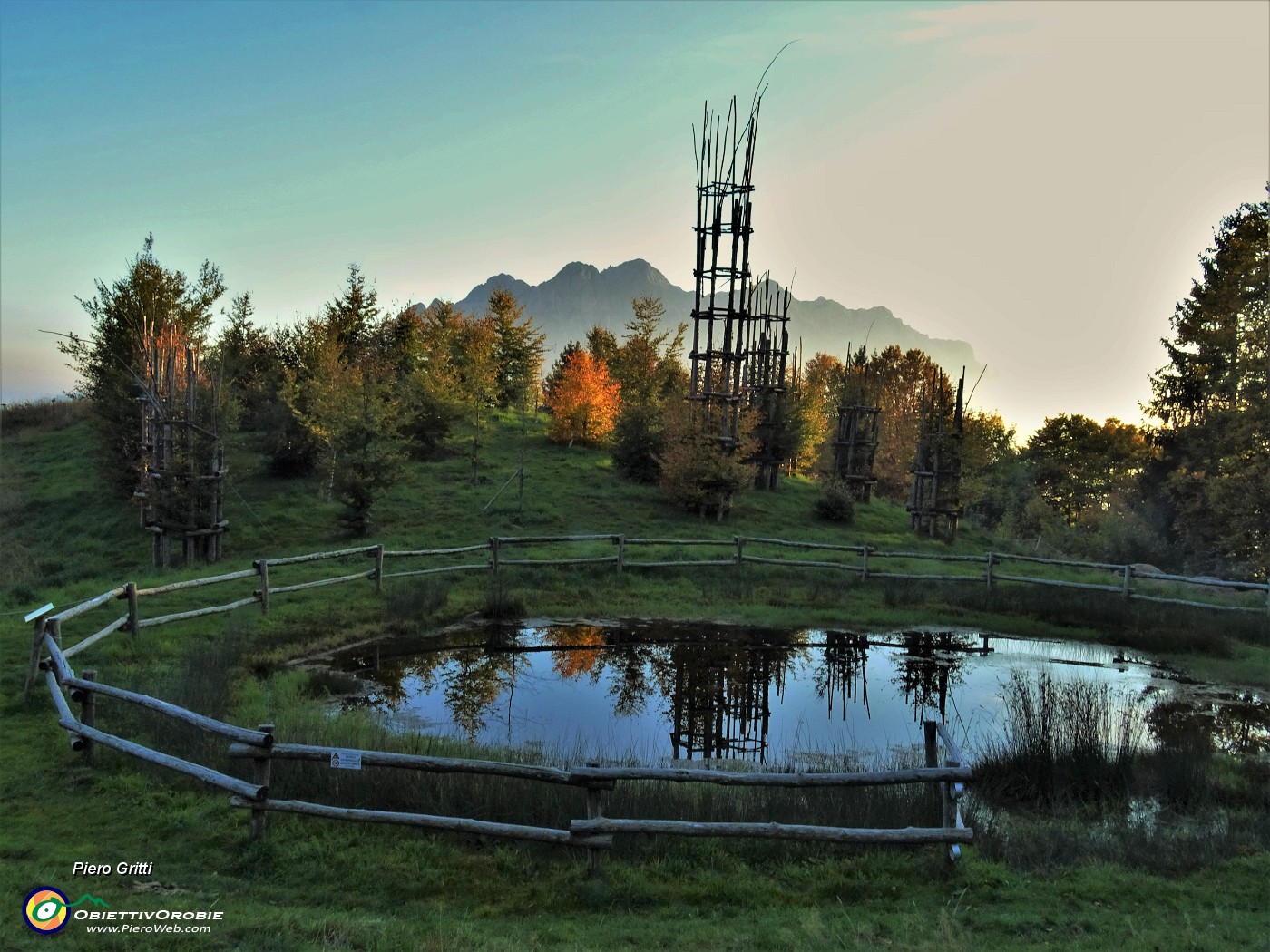 93 La Cattedrale Vegetale nei caldi colori d'autunno al tramonto.JPG